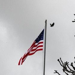 Ramai Negara Rilis Travel Warning ke Amerika Serikat, Ada Apa?