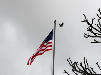 Kedaulatan Indonesia di Tengah Badai 'America First'