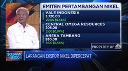 Asosiasi Smelter Tanggapi Percepatan Larangan Ekspor Nikel