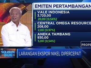 Asosiasi Smelter Tanggapi Percepatan Larangan Ekspor Nikel