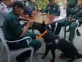 VIDEO: Anjing Pelacak Bantu Pencarian Turis Inggris