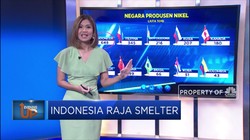 Indonesia Raja Smelter