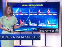 Indonesia Raja Smelter