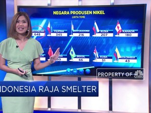 Indonesia Raja Smelter
