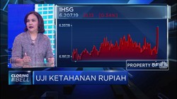 Uji Ketahanan Ekonomi RI, Ini Pandangan Ekonom