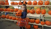 Kota Bucharest di Romania merayakan Halloween dengan festival mengukir labu tahunan yang disebut terbesar di Eropa. Ada 30 ribu labu yang disediakan tahun ini. (AP Photo/Vadim Ghirda)