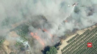 VIDEO: Kebakaran California Capai 9.000 Hektare