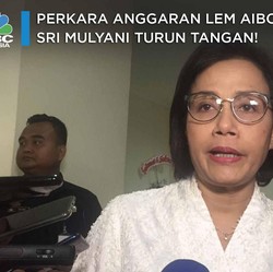 Anggaran Aibon Miliaran Anies Buat Sri Mulyani Turun Tangan