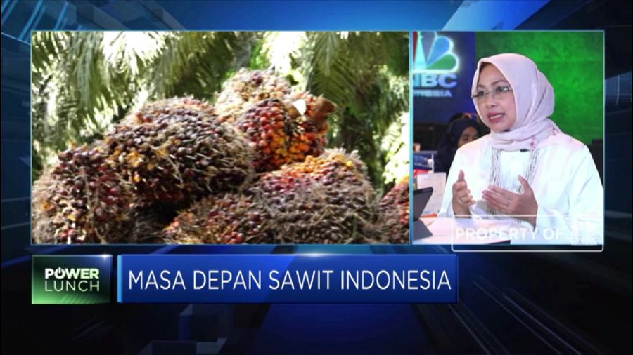Simak nasib sawit RI ke depan