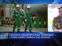 Industri Pupuk Keok Gegara Banjir Impor
