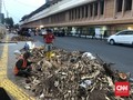 Alasan Keselamatan, DKI Tebang Pohon Tua di Kawasan Cikini