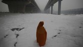 WHO menyatakan 14 kota di India termasuk dalam daftar tempat paling berpolusi di dunia. (AP Photo/Altaf Qadri)