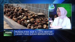 Kemenko Perekonomian: 566 Unit Usaha Tersertifikasi ISPO