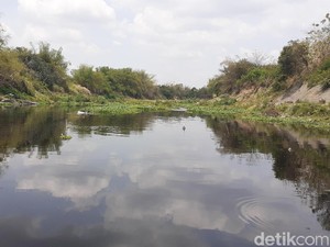 Pemuda di Sragen Loncat ke Sungai Bengawan Solo, Ditemukan Tewas