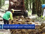 Nasib Ekspor Sawit Indonesia