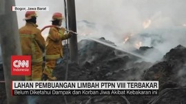 VIDEO: Lahan Pembuangan Limbah PTPN VIII Terbakar