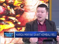Analis: Aturan Baru CPO Dorong Keberlanjutan Industri Sawit