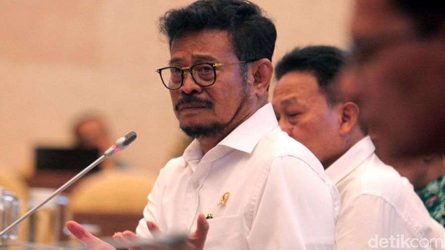 Menteri Pertanian (Mentan) Syahrul Yasin Limpo hadir dalam rapat bersama Komisi IV DPR. Rapat itu membahas program kerja Kementan 5 tahun ke depan.