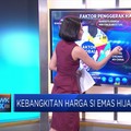 Kebangkitan Harga CPO, Si Emas Hijau