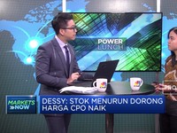 Menakar Sentimen Pendorong Laju Harga CPO