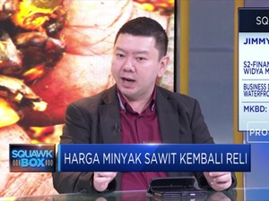 Hitung Prospek Kebangkitan Harga CPO