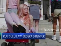 RUU 'Sulli Law' Segera Disusun pada Desember 2019