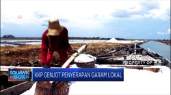 KKP Janji Serap Garam Lokal