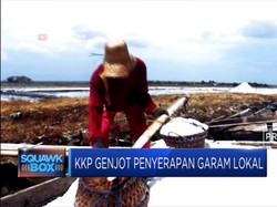 KKP Janji Serap Garam Lokal