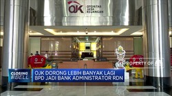 OJK Dorong BPD Jadi Administrator RDN