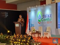 Waspada Konflik Kepentingan Rangkap Jabatan Dirjen Minerba!