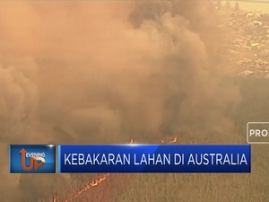 Kebakaran Lahan di Australia