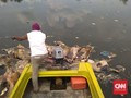 4.682 Babi Mati Akibat Kolera, Ratusan Bangkai Cemari Sungai