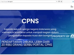 Pendaftaran CPNS Dibuka, Portal BKN Diserbu