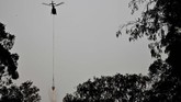 Bencana kebakaran hutan kali ini dilaporkan sebagai yang terburuk terjadi di Sydney sejak 2009 lalu. (Photo by PETER PARKS / AFP)
