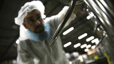 Arak Saggi merupakan minuman distilasi yang diproduksi oleh seorang warga Iran di Kanada. Arak diracik untuk menghidupkan kembali budaya minum alkohol tanah airnya. (AP Photo/Kamran Jebreili)