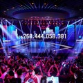 Hari Jomblo 11.11 Cetak Rekor, e-Commerce China Dikritik Abis