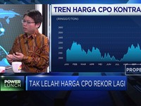 Analisis Kinerja Saham Emiten Sawit di Tengah Reli Harga CPO