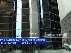 Harga Komoditas Amblas, Kinerja Perusahaan Batu Bara Anjlok