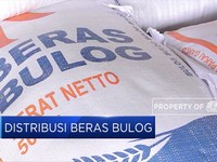 Begini Strategi Pendistribusian Beras Bulog!
