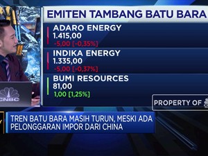 Analis: Tren Harga Batu Bara Terus Turun Namun Ada Harapan