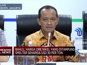 Ini Hasil Rapat BKPM Terkait Larangan Ekspor Nikel