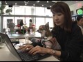 VIDEO: Jepang Izinkan Karyawan Bawa Peliharaan ke Kantor
