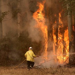 Hot! Australia Terpanas Dalam Sejarah, Suhunya 40,9 Derajat