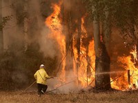 Hot! Australia Terpanas Dalam Sejarah, Suhunya 40,9 Derajat