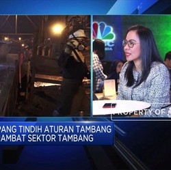 Curhat Penambang Nikel: Harga Murah & Dugaan Kartel Smelter