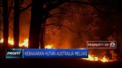 Kebakaran Hutan di Australia Kian Meluas