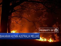 Kebakaran Hutan di Australia Kian Meluas