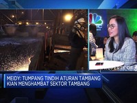 APNI Harap Pemerintah Keluarkan Aturan Tata Niaga Nikel