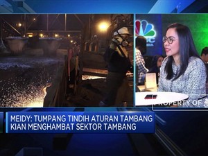 APNI Harap Pemerintah Keluarkan Aturan Tata Niaga Nikel