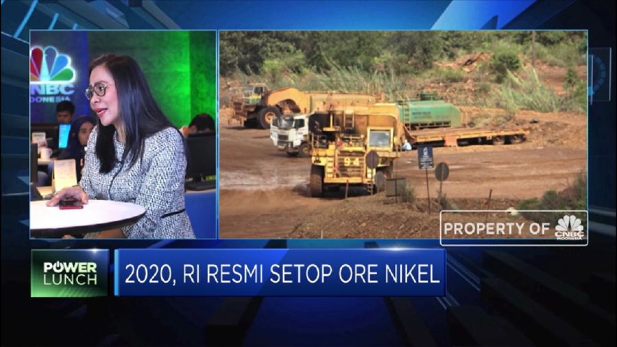 Asosiasi Penamban Nikel Indonesia (APNI) buka-bukaan soal kelakuan smelter China terhadap penambang nikel RI selama ini 